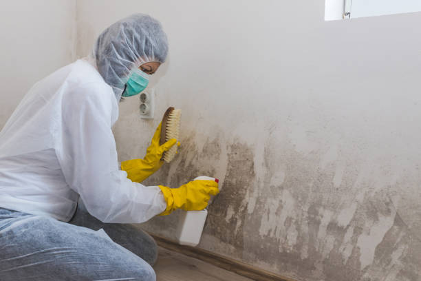 Best Mold Testing  in Okauchee Lake, WI
