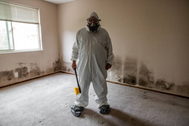 Best Mold Cleaning Services  in Okauchee Lake, WI