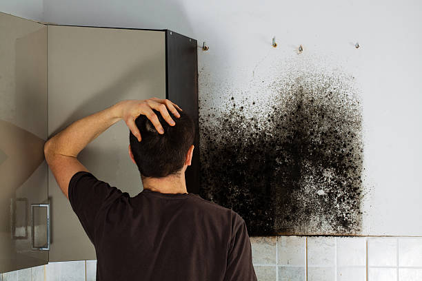 Mold Testing and Removal in Okauchee Lake, WI